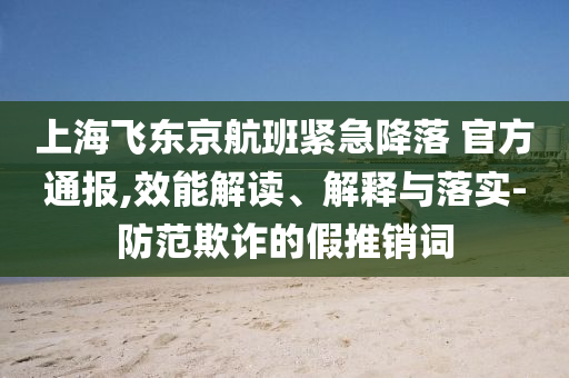 上海飛東京航班緊急降落 官方通報(bào),效能解讀、解釋與落實(shí)-防范欺詐的假推銷詞