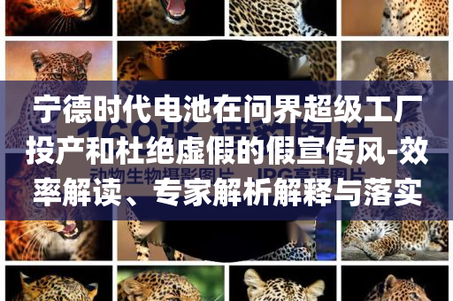 寧德時(shí)代電池在問界超級工廠投產(chǎn)和杜絕虛假的假宣傳風(fēng)-效率解讀、專家解析解釋與落實(shí)