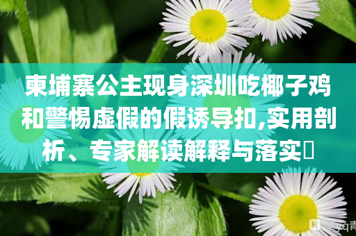 柬埔寨公主現(xiàn)身深圳吃椰子雞和警惕虛假的假誘導(dǎo)扣,實用剖析、專家解讀解釋與落實?