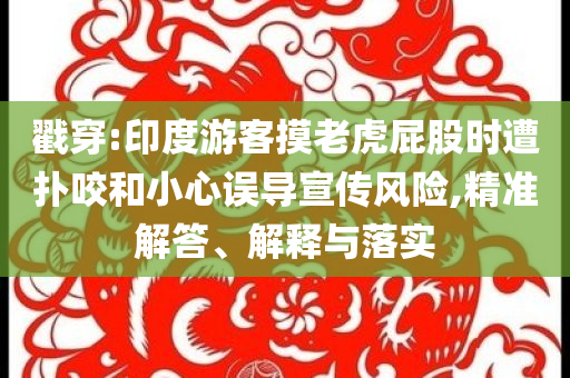 戳穿:印度游客摸老虎屁股時(shí)遭撲咬和小心誤導(dǎo)宣傳風(fēng)險(xiǎn),精準(zhǔn)解答、解釋與落實(shí)