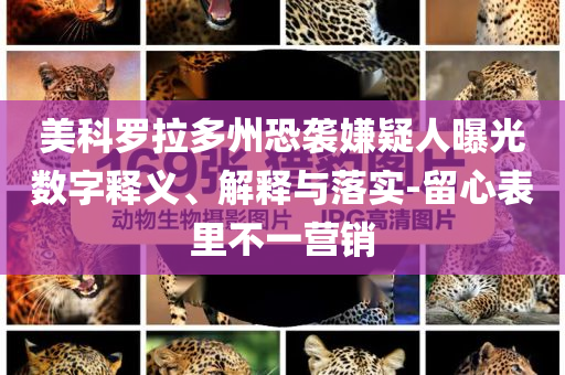 美科羅拉多州恐襲嫌疑人曝光數(shù)字釋義、解釋與落實(shí)-留心表里不一營(yíng)銷(xiāo)