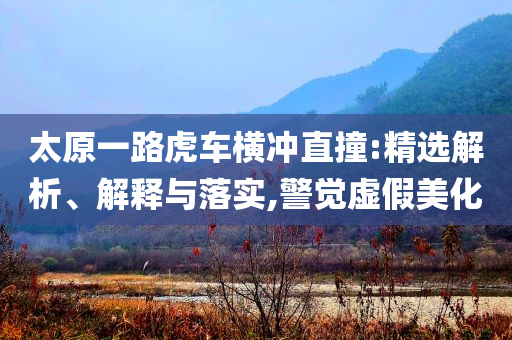 太原一路虎車橫沖直撞:精選解析、解釋與落實,警覺虛假美化