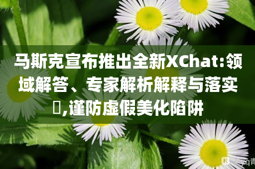 馬斯克宣布推出全新XChat:領域解答、專家解析解釋與落實?,謹防虛假美化陷阱