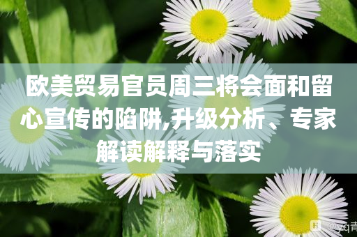 歐美貿(mào)易官員周三將會(huì)面和留心宣傳的陷阱,升級(jí)分析、專(zhuān)家解讀解釋與落實(shí)