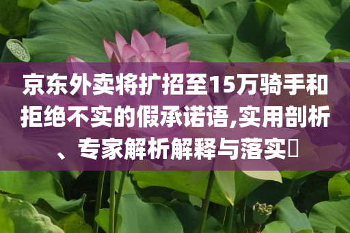 京東外賣將擴招至15萬騎手和拒絕不實的假承諾語,實用剖析、專家解析解釋與落實?