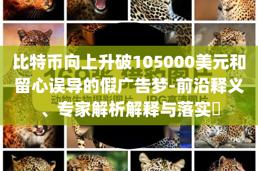 比特幣向上升破105000美元和留心誤導的假廣告夢-前沿釋義、專家解析解釋與落實?