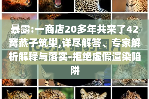 暴露:一商店20多年共來(lái)了42窩燕子筑巢,詳盡解答、專家解析解釋與落實(shí)-拒絕虛假渲染陷阱