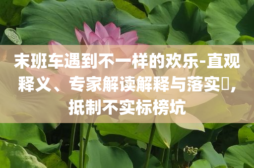 末班車遇到不一樣的歡樂(lè)-直觀釋義、專家解讀解釋與落實(shí)?,抵制不實(shí)標(biāo)榜坑