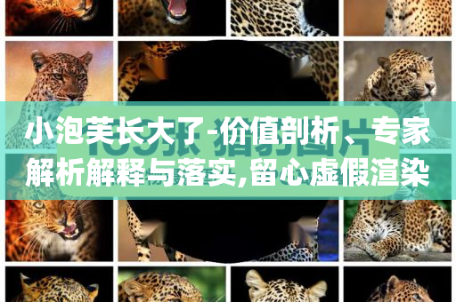 小泡芙長(zhǎng)大了-價(jià)值剖析、專家解析解釋與落實(shí),留心虛假渲染
