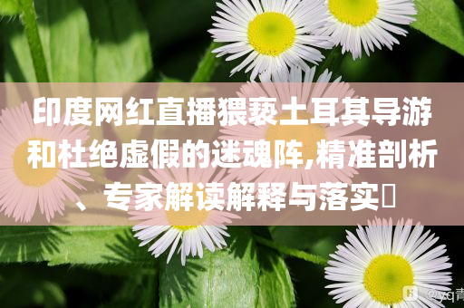 印度網(wǎng)紅直播猥褻土耳其導(dǎo)游和杜絕虛假的迷魂陣,精準(zhǔn)剖析、專家解讀解釋與落實(shí)?