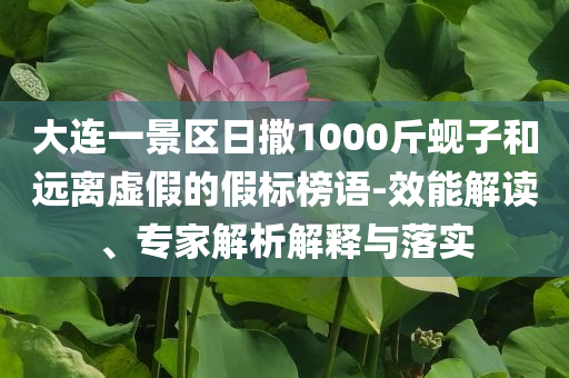 大連一景區(qū)日撒1000斤蜆子和遠(yuǎn)離虛假的假標(biāo)榜語-效能解讀、專家解析解釋與落實