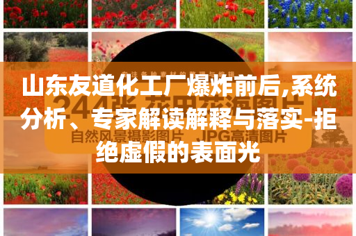 山東友道化工廠爆炸前后,系統(tǒng)分析、專家解讀解釋與落實-拒絕虛假的表面光