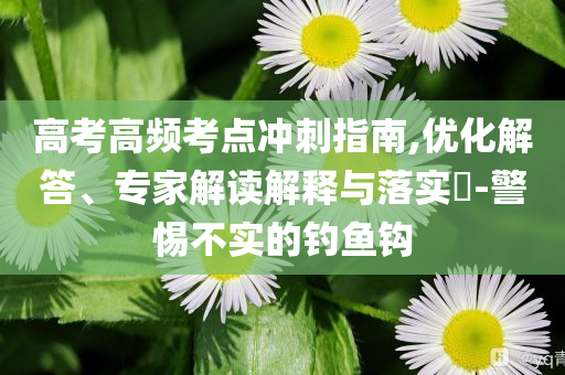 高考高頻考點沖刺指南,優(yōu)化解答、專家解讀解釋與落實?-警惕不實的釣魚鉤