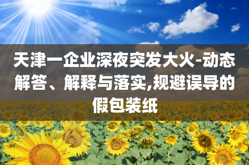 天津一企業(yè)深夜突發(fā)大火-動(dòng)態(tài)解答、解釋與落實(shí),規(guī)避誤導(dǎo)的假包裝紙