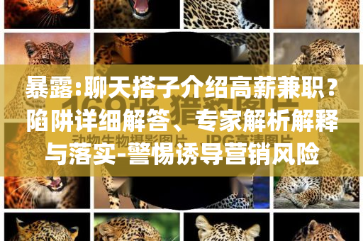 暴露:聊天搭子介紹高薪兼職？陷阱詳細(xì)解答、專家解析解釋與落實(shí)-警惕誘導(dǎo)營(yíng)銷風(fēng)險(xiǎn)