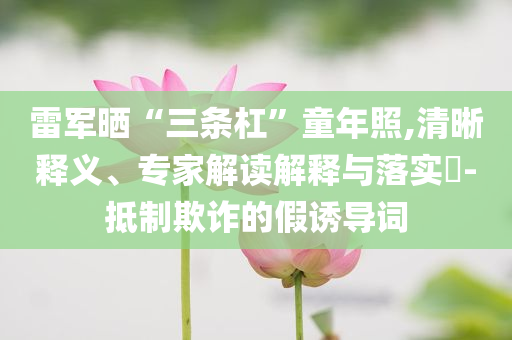 雷軍曬“三條杠”童年照,清晰釋義、專家解讀解釋與落實(shí)?-抵制欺詐的假誘導(dǎo)詞