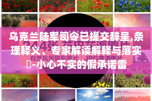 烏克蘭陸軍司令已提交辭呈,條理釋義、專家解讀解釋與落實(shí)?-小心不實(shí)的假承諾雷
