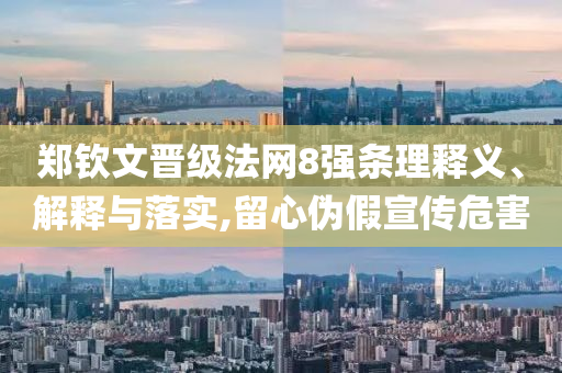 鄭欽文晉級(jí)法網(wǎng)8強(qiáng)條理釋義、解釋與落實(shí),留心偽假宣傳危害