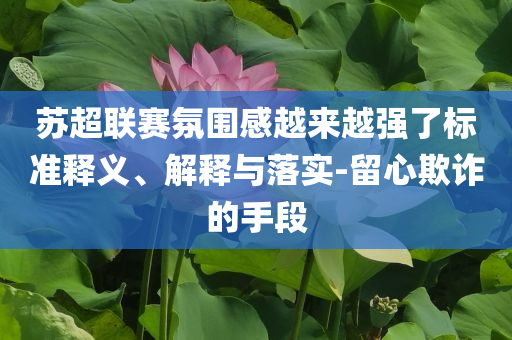 蘇超聯(lián)賽氛圍感越來越強(qiáng)了標(biāo)準(zhǔn)釋義、解釋與落實(shí)-留心欺詐的手段