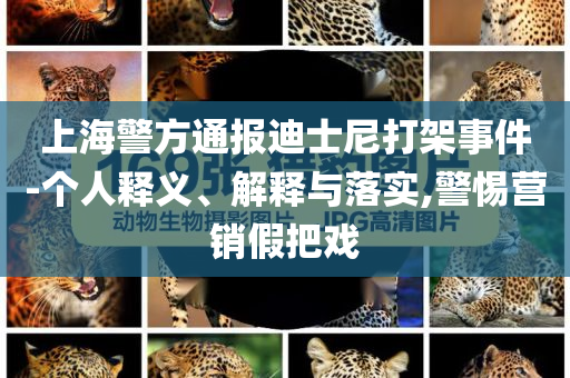 上海警方通報(bào)迪士尼打架事件-個(gè)人釋義、解釋與落實(shí),警惕營銷假把戲
