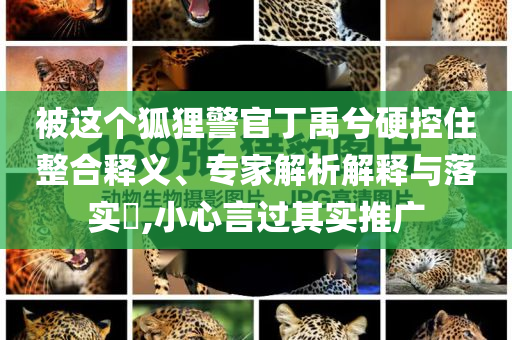 被這個狐貍警官丁禹兮硬控住整合釋義、專家解析解釋與落實(shí)?,小心言過其實(shí)推廣