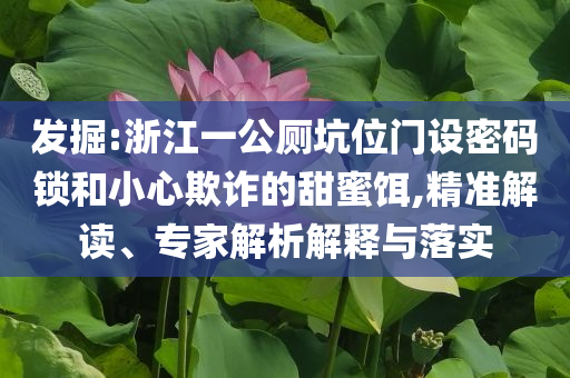 發(fā)掘:浙江一公廁坑位門設(shè)密碼鎖和小心欺詐的甜蜜餌,精準解讀、專家解析解釋與落實
