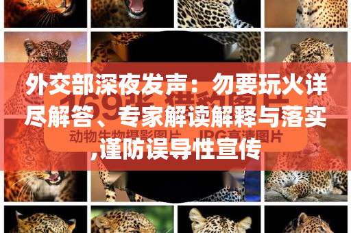 外交部深夜發(fā)聲：勿要玩火詳盡解答、專家解讀解釋與落實,謹(jǐn)防誤導(dǎo)性宣傳