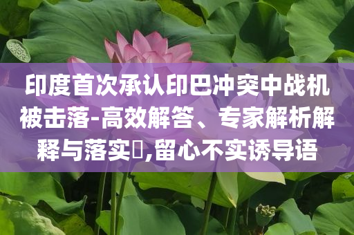 印度首次承認(rèn)印巴沖突中戰(zhàn)機(jī)被擊落-高效解答、專家解析解釋與落實(shí)?,留心不實(shí)誘導(dǎo)語