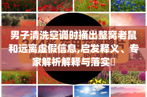 男子清洗空調(diào)時捅出整窩老鼠和遠離虛假信息,啟發(fā)釋義、專家解析解釋與落實?