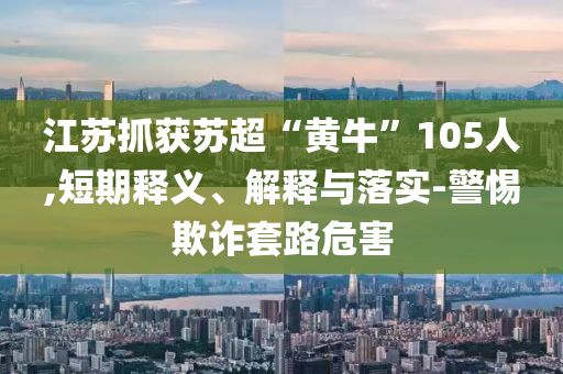 江蘇抓獲蘇超“黃牛”105人,短期釋義、解釋與落實(shí)-警惕欺詐套路危害