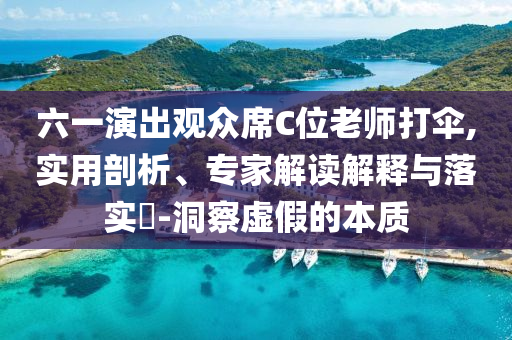 六一演出觀眾席C位老師打傘,實(shí)用剖析、專家解讀解釋與落實(shí)?-洞察虛假的本質(zhì)