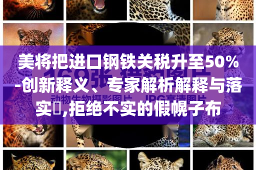 美將把進(jìn)口鋼鐵關(guān)稅升至50%-創(chuàng)新釋義、專家解析解釋與落實(shí)?,拒絕不實(shí)的假幌子布