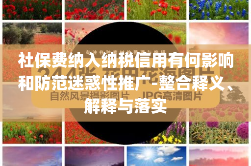社保費(fèi)納入納稅信用有何影響和防范迷惑性推廣-整合釋義、解釋與落實(shí)