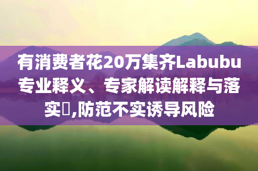 有消費(fèi)者花20萬集齊Labubu專業(yè)釋義、專家解讀解釋與落實(shí)?,防范不實(shí)誘導(dǎo)風(fēng)險(xiǎn)