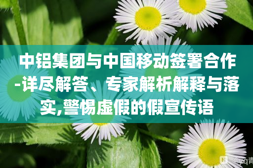中鋁集團(tuán)與中國(guó)移動(dòng)簽署合作-詳盡解答、專家解析解釋與落實(shí),警惕虛假的假宣傳語(yǔ)
