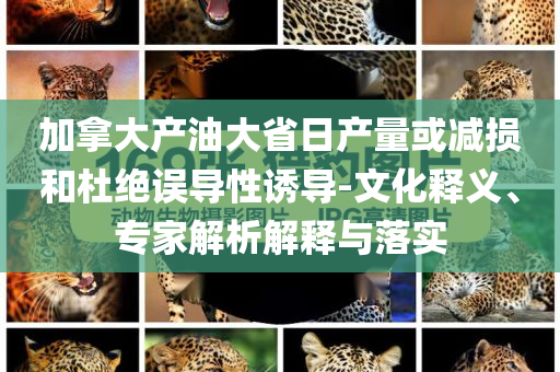 加拿大產(chǎn)油大省日產(chǎn)量或減損和杜絕誤導(dǎo)性誘導(dǎo)-文化釋義、專家解析解釋與落實(shí)