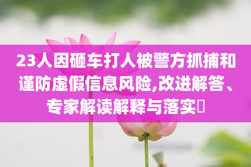 23人因砸車(chē)打人被警方抓捕和謹(jǐn)防虛假信息風(fēng)險(xiǎn),改進(jìn)解答、專(zhuān)家解讀解釋與落實(shí)?