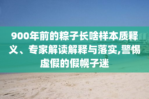 900年前的粽子長啥樣本質(zhì)釋義、專家解讀解釋與落實(shí),警惕虛假的假幌子迷