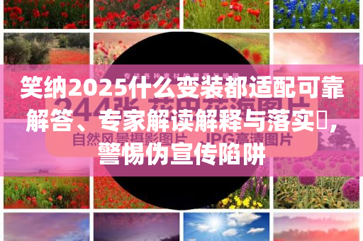 笑納2025什么變裝都適配可靠解答、專家解讀解釋與落實(shí)?,警惕偽宣傳陷阱