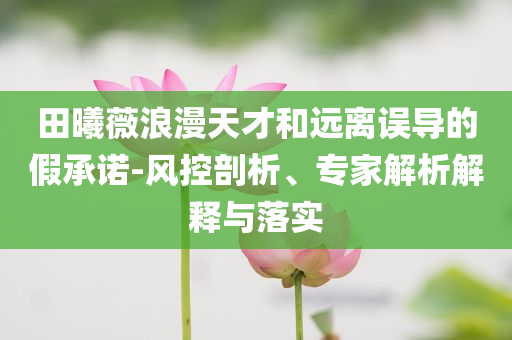 田曦薇浪漫天才和遠(yuǎn)離誤導(dǎo)的假承諾-風(fēng)控剖析、專家解析解釋與落實(shí)