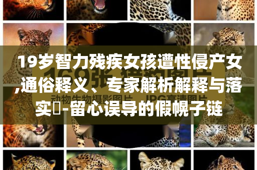 19歲智力殘疾女孩遭性侵產(chǎn)女,通俗釋義、專家解析解釋與落實?-留心誤導(dǎo)的假幌子鏈