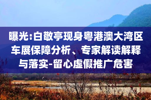 曝光:白敬亭現(xiàn)身粵港澳大灣區(qū)車展保障分析、專家解讀解釋與落實(shí)-留心虛假推廣危害