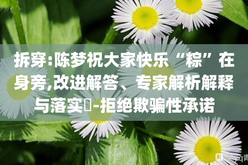 拆穿:陳夢祝大家快樂“粽”在身旁,改進(jìn)解答、專家解析解釋與落實(shí)?-拒絕欺騙性承諾