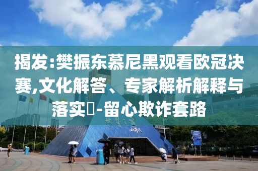 揭發(fā):樊振東慕尼黑觀看歐冠決賽,文化解答、專家解析解釋與落實(shí)?-留心欺詐套路