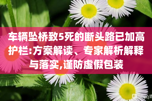 車輛墜橋致5死的斷頭路已加高護(hù)欄:方案解讀、專家解析解釋與落實(shí),謹(jǐn)防虛假包裝
