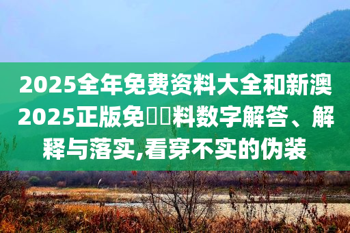 2025全年免費(fèi)資料大全和新澳2025正版免費(fèi)資料數(shù)字解答、解釋與落實(shí),看穿不實(shí)的偽裝