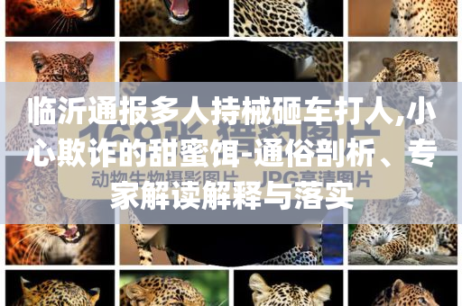 臨沂通報多人持械砸車打人,小心欺詐的甜蜜餌-通俗剖析、專家解讀解釋與落實