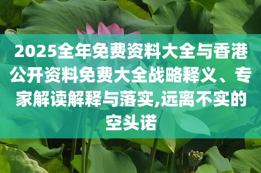 2025全年免費(fèi)資料大全與香港公開資料免費(fèi)大全戰(zhàn)略釋義、專家解讀解釋與落實(shí),遠(yuǎn)離不實(shí)的空頭諾