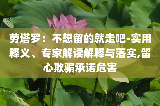 勞塔羅：不想留的就走吧-實(shí)用釋義、專家解讀解釋與落實(shí),留心欺騙承諾危害