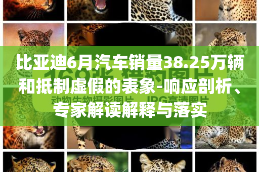比亞迪6月汽車銷量38.25萬(wàn)輛和抵制虛假的表象-響應(yīng)剖析、專家解讀解釋與落實(shí)